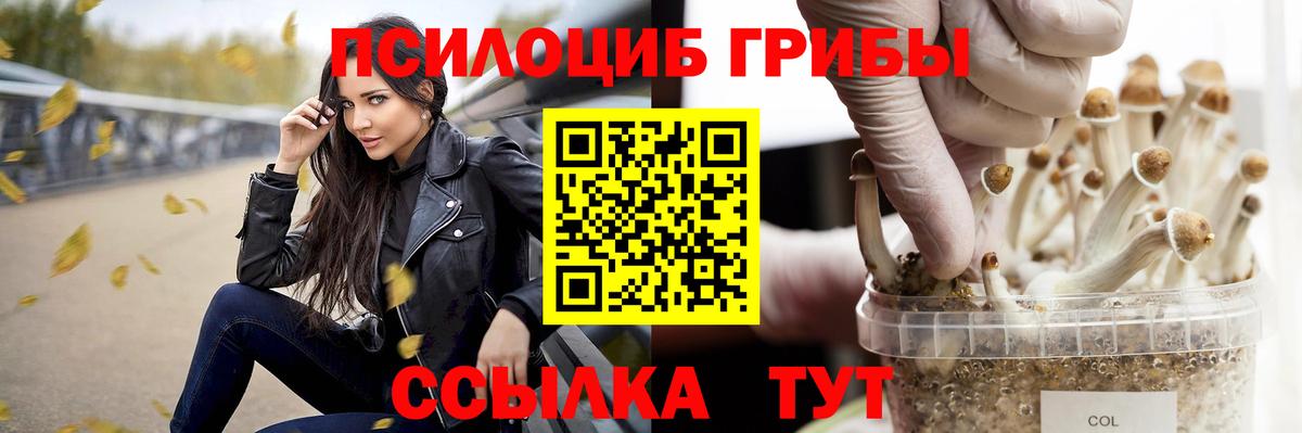 Псилоцибиновые грибы MAGIC MUSHROOMS Строитель